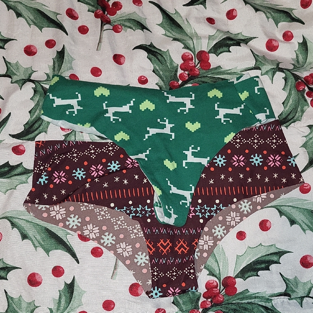 🔴FINAL PRICE🔴Festive Aerie Panties - Size M